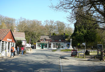 Burley in the New Forest